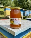 miod-wielokwiatowy-glowne.JPG